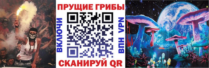 сайты даркнета какой сайт где можно купить Воркута Псилоцибиновые грибы Psilocybe
